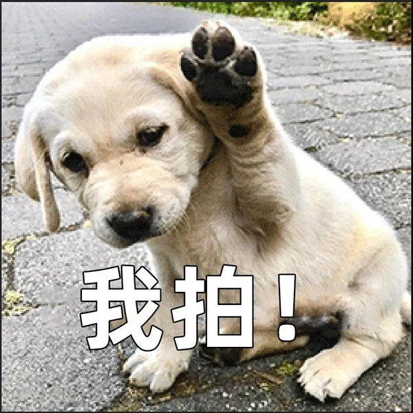 2_¸±±¾.jpg 2_¸±±¾.jpg