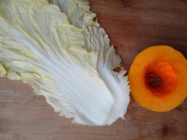 °×²ËÄÏ¹Ï °×²ËÄϹÏ