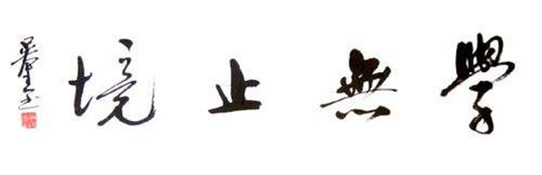 »ªÎªÊÇÔõÑù¾ÙÐÐIPDÀå¸ïµÄ »ªÎªÊÇÔõÑù¾ÙÐÐIPDÀå¸ïµÄ