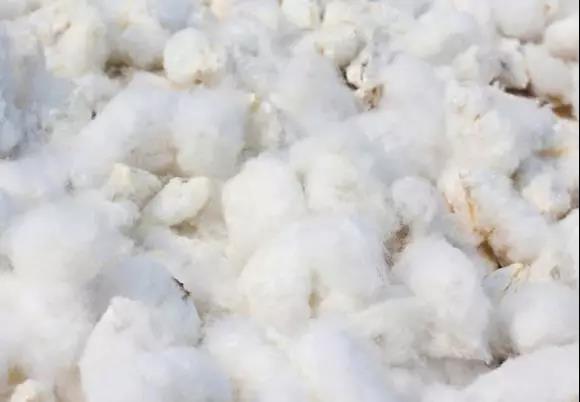 ΢ÐÅͼƬ_20191009191829.jpg ΢ÐÅͼƬ_20191009191829.jpg