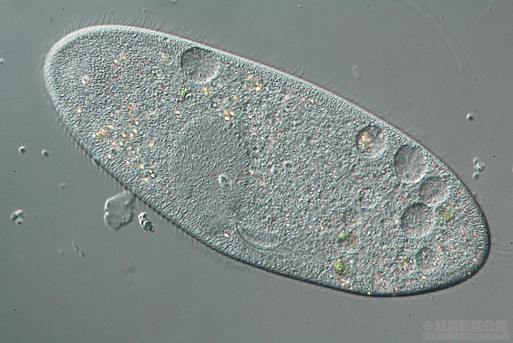 d11a7e31e1e5fe4b10c80d0655e0dfa0.png d11a7e31e1e5fe4b10c80d0655e0dfa0.png