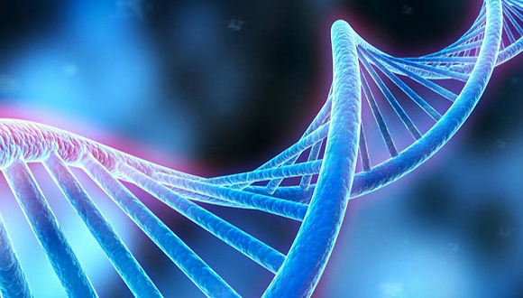 eb82c0f47d0585c2b311daa4d5fd6206.png eb82c0f47d0585c2b311daa4d5fd6206.png