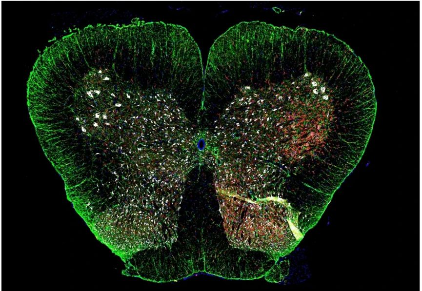 39818d3cc7db89c0f823ee6ea3e1a8f1.jpg 39818d3cc7db89c0f823ee6ea3e1a8f1.jpg